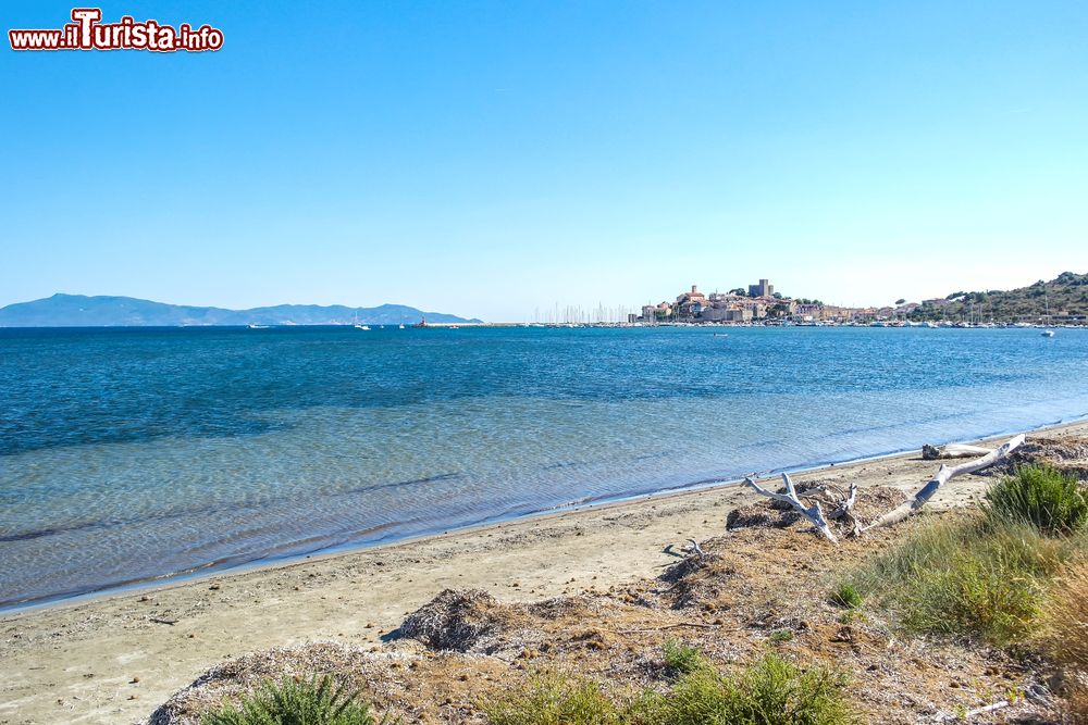 Immagine La spiaggia sabbiosa a sud di Talamone in Toscana