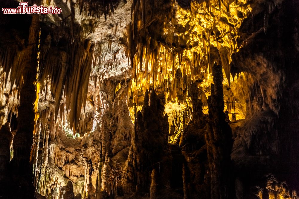 Immagine La visita alle Grotte di Castellana in Puglia