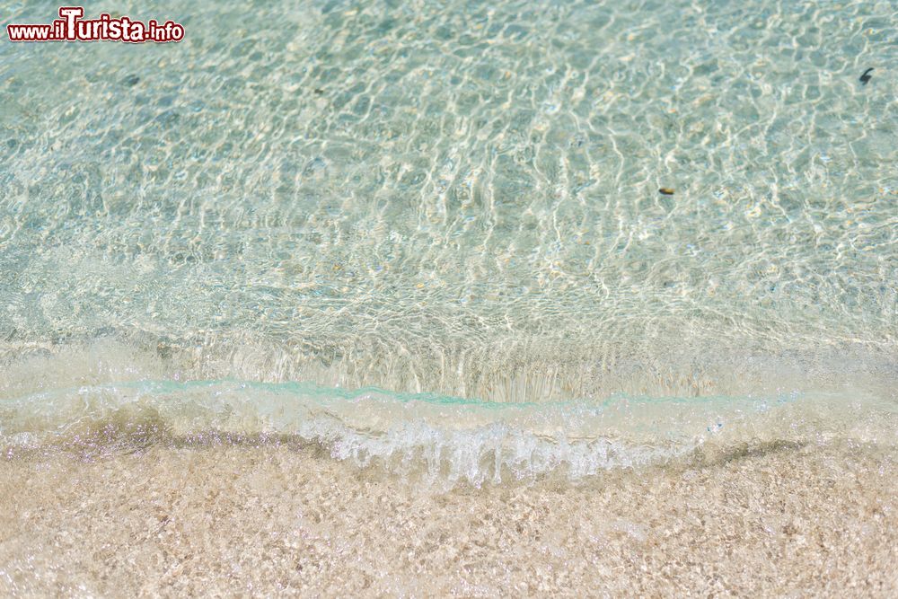 Immagine Le acque trasparenti di Cala Bona ad Alghero, Sardegna.