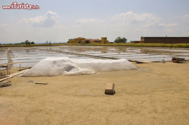 Immagine Le saline della Provincia di Ravenna sono famose per la produzione del sale "dolce" di Cervia, dal sapore profumato non eccessivamente saporito, che lo rendono molto indicato per l'uso in cucina - © Sogno Lucido / Shutterstock.com