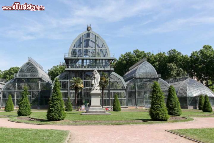 Immagine Le serre del Giardino Botanico di Lione, Francia. Si trova nel cuore del Parc de la Tete d'Or e raggruppa 13500 esemplari. Dei suoi 8 ettari di estensione, circa 5650 metri quadrati sono ricoperti da serre classificate monumenti storici. Con i loro 21 metri di altezza, sono infatti la struttura di questo genere più alta esistente in tutta Francia - © ricochet64 / Shutterstock.com