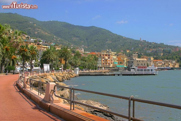 Immagine Lungomare Vittorio Veneto: il "salotto" di Rapallo - il lungomare Vittorio Veneto è una delle zone paesaggisticamente più belle ma anche più frequentate di Rapallo. Qui ci sono i ristoranti di lusso, i soleggiati dehors in cui rinfrescarsi con un gelato o una bibita, i locali notturni e tutto il meglio dell'intrattenimento rapallese.
Passeggiando tra le palme, si possono poi ammirare le bellezze di questa splendida cittadina ligure: dal mare alla ricca vegetazione del Golfo del Tigullio, dall'antico castello al porto turistico, in un elegante connubio tra antico e moderno. - © Giancarlo Liguori / Shutterstock.com