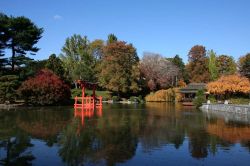 Brooklyn Botanical Garden di New York, Stati Uniti. Fondato nel 1910, il parco botanico si trova a Prospect Park. In questa immagine è ritratto il giardino giapponese in autunno - © ...