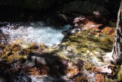 Buley Rockhole Litchfield National Park, Australia