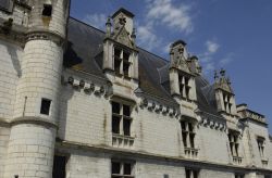 Il Castello Reale di Loches, nella  Valle della Loira in Francia  - © Pack-Shot / Shutterstock.com