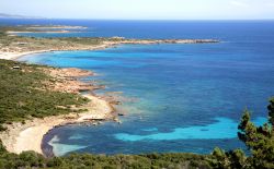 Nei pressi di Bonifacio, nel Sud della Corsica, la costa alterna spiagge sabbiose a scogliere di roccia calcarea. La spiaggia è una lingua sinuosa stretta tra la macchia mediterranea ...