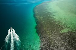 Escursione in barca lungo il reef di El Gouna, la grande barriera corallina del Mar Rosso, in Egitto - © Nneirda / Shutterstock.com