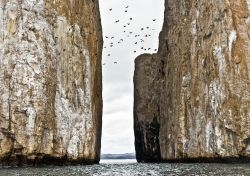 Le due alte torri in roccia vulcanica di Kicker Rock, che si innalzano per circa 140 metri, rappresentano uno dei paesaggi più suggestivi dell'arcipelago delle Galapagos. Chiamate ...