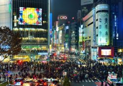 Un vero fiume umano lo si può ammirare ogni giorno al Shibuya Crossing, il trafficatissimo svincolo della città di Tokyo - © Sean Pavone / Shutterstock.com 