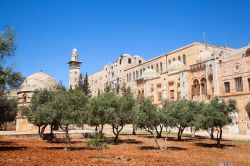 Il Giardino del Getsemani di Gerusalemme, poco fuori dalle mura della Città Vecchia, ai piedi del Monte degli Ulivi. Qui Gesù si ritirò dopo l'Ultima Cena, prima di ...