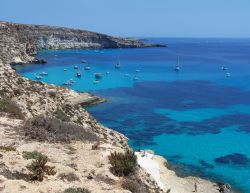 Il mare intorno all'isola dei Conigli a Lampedusa: ...