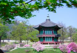 Il bucoloico Kyoungbok Palace si trova a Seul la capitale della Corea del Sud (Seoul, Korea) - © Pete Niesen / Shutterstock.com