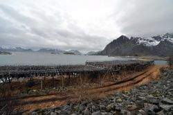 Paesaggio invernale a Henningsvaer Lofoten