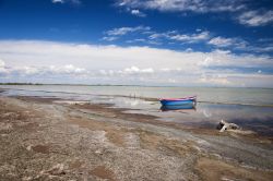 Paesaggio selvaggio lungo la Camargue, Parco Regionale della Francia - © evolet / Shutterstock.com