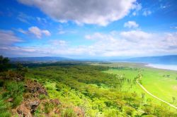 Il Parco Nazionale Lake Nakuru in Kenya. Il lago è famoso per i suoi fenicotteri rosa che a migliaia affollano le sue rive - © Anna Omelchenko / Shutterstock.com