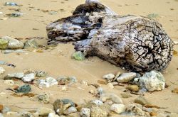 Particolare di una delle spiagge di Montecristi, Repubblica Dominicana
