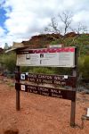 I sentieri principali del Kings Canyon in  Australia - Il sentiero blu, quello che si compie in quota (Kings Canyon Rim Walk), è sicuramente il più spettacolare, ma richiede ...