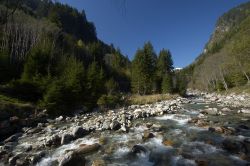 Un torrente alpino della zona di Trebesing in ...