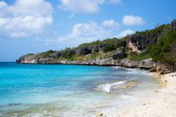 Acqua cristallina lunga la costa dell'isola olandese di Bonaire, Antille. Siamo a nord del litorale del Venezuela, nel Mare dei Caraibi.



