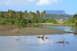 Baracoa, Cuba: la foce del Rìo Miel e, sullo sfondo, il monte El Yunque.
