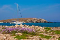 Barca ormeggiata nel mare di Delos, Grecia. Considerata in passato l'isola più sacra della Grecia, Delos è raggiungibile con una traversata di 45 minuti di traghetto da Mykonos. ...