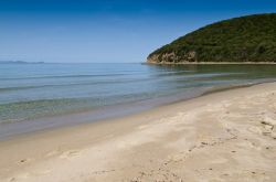 Cala Violina si trova nel territorio del Comune di Scarlino, una delle spiagge più belle del mare della Toscana - © loreanto / Shutterstock.com