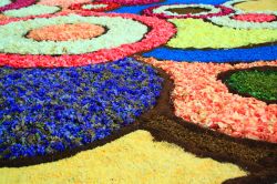 Particolare del tappeto floreale dell'Infiorata di Genzano di Roma, che si svolge durante la festa del Corpus Domini - © 93225976 / Shutterstock.com