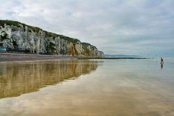 Le spettacolari falesie della Costa d'Alabastro, fotografata a Dieppe, la città costiera dell'Alta Normandia sulla Manica - © Alexei Novikov / Shutterstock.com