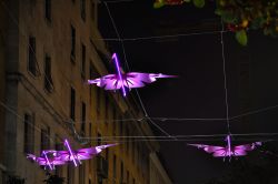 Fenicotteri rosa a Luci d'Artista a Torino. - © ROBERTO ZILLI / Shutterstock.com