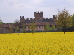 Fioritura estiva e Castello di Malpaga a Cavernago