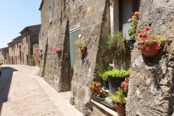 Fotografia del borgo medievale di Sovana, Toscana. Per andare alla scoperta delle bellezze di questo villaggio toscano è sufficiente passeggiare a piedi fra i suoi vicoli ricchi di interessanti ...