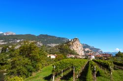 Fotografia di Arco, Trentino. Questa piccola cittadina nei pressi del lago di Garda è una meta turistica frequentata da turisti provenienti da tutto il mondo.



