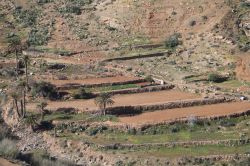 Le aree naturali e rupestri del parco di Betancuria, Pajara (Fuerteventura) - Questo spettacolo naturale e queste suggestioni di flora e fauna così tipiche e caratteristiche di Betancuria, ...