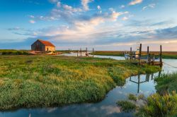 I paesaggi bucolici dell'East of England