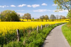 I paesaggi bucolici dello  Schleswig-Holstein in Germania