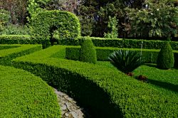 Il Labirinto del Giardino Botanico di Giuggianello nel Salento, Puglia