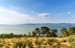 Il Lago Trasimeno fotografato dalle campagne di Vitellino in Umbria