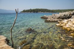 Il mare limpido di Krk isola di Veglia, Croazia