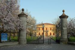 Il Municipio di San Pietro in Casale - © Tux, Wikipedia