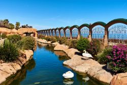 Il pittoresco giardino Marina d'Or di Oropesa del Mar, Spagna. Passeggiando al suo interno fra cascate e fontane si possono scoprire migliaia e migliaia di fiori naturali di oltre 50 specie ...