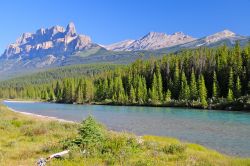 Il pittoresco Mount Revelstoke National Park, British Columbia (Canada).
