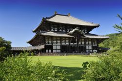 Il tempio Nara Daibutsu todai-ji a Osaka, Giappone. Questo luogo è conosciuto soprattutto per l'immensa statua del Buddha seduto più grande al mondo.



