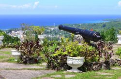 La città portuale di Ocho Rios vista dal Shaw Park Botanical Gardens, Giamaica. Situato sulle colline sopra la città, questo parco è un bellissimo giardino botanico di 25 ...