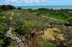 La Costa adriatica in Abruzzo nei pressi di Fossacesia