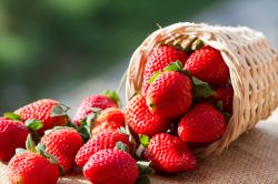 La Festa delle Fragole di Cassibile in SIcilia