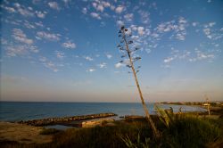 La spiaggia di Ispica all'alba in Sicilia