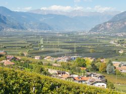 La Strada del Vino in Alto Adige