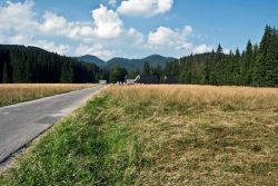 La valle Dolina Chocholowska sui monti Tatra occidentali in Polonia