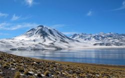 Lagunas miscanti y meniques non distante da San Pedro de Atacama in Cile - © yunning / Shutterstock.com