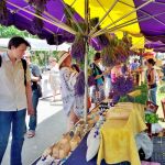 Le bancarelle della Festa della Lavanda a Ferrassières, Rodano-Alpi (Francia) - © Oleg Znamenskiy / Shutterstock.com